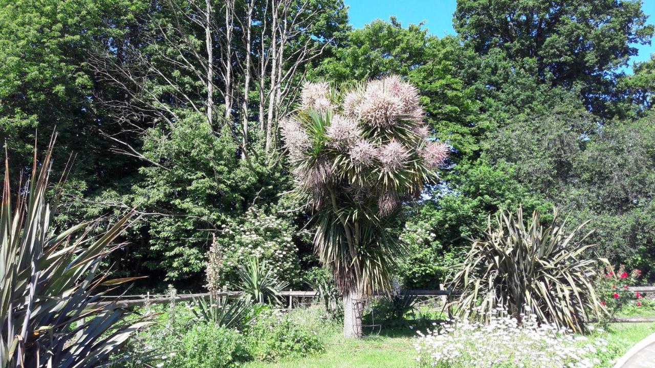 Manoir De La Peignie Frühstückspension Merdrignac