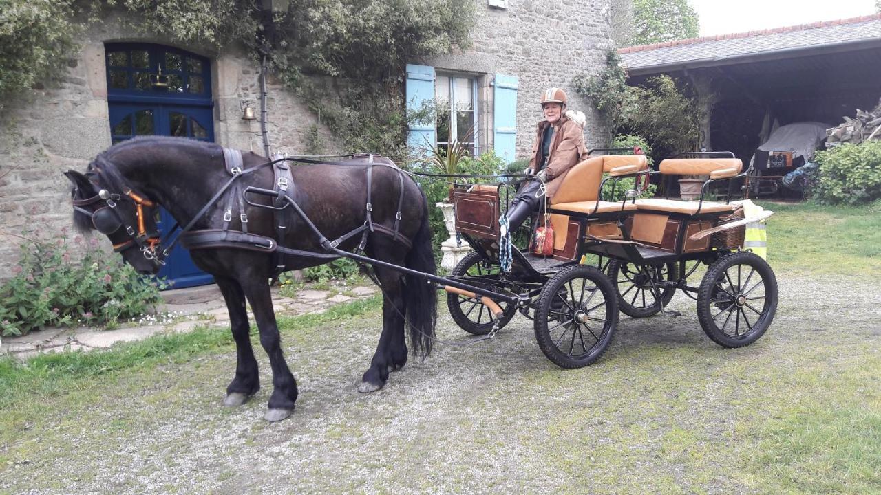 Frühstückspension Manoir De La Peignie Merdrignac